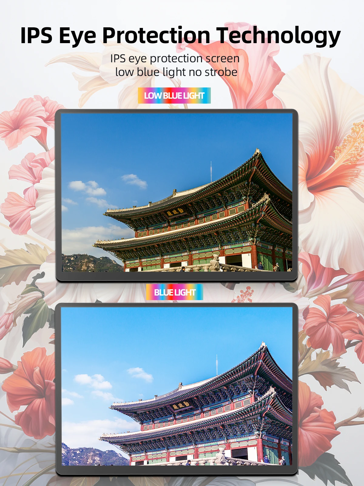 kf-Sf43c723d18154790a68ae2fd1493e67bP